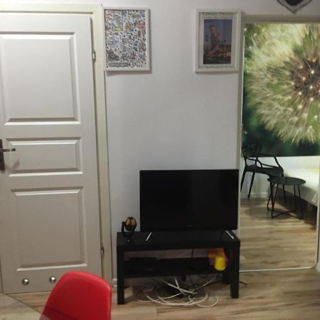 Apartament Pod Wrona Stary Toruń Kültér fotó